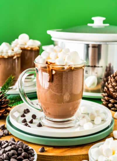 A mug of hot chocolate in front of a crockpot.