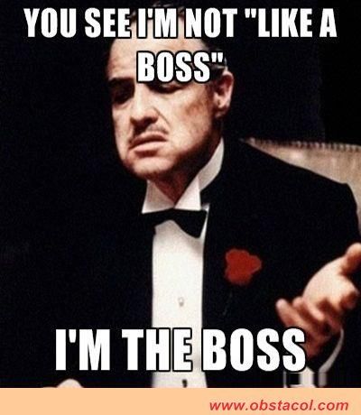 I am the Boss