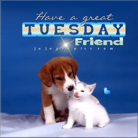 Have A Great Tuesday Friend Pictures, Photos, and Images for Facebook ...