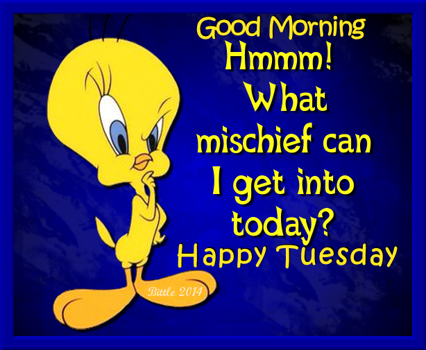 Tweety Bird Good Morning Happy Tuesday Pictures, Photos, and Images for ...