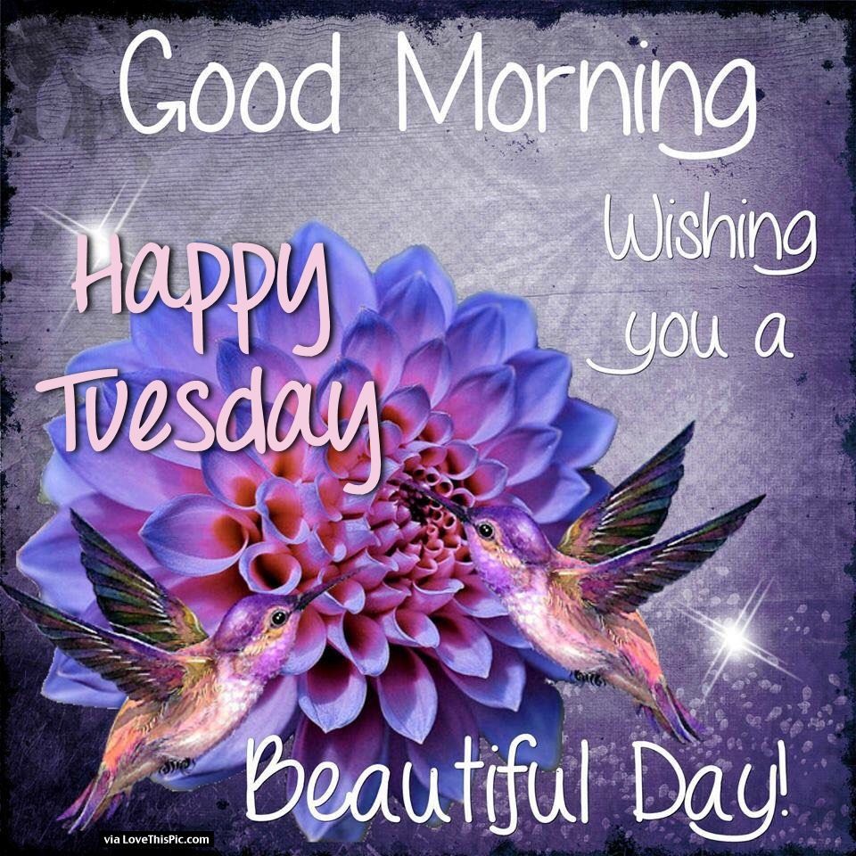 Happy Tuesday Greetings