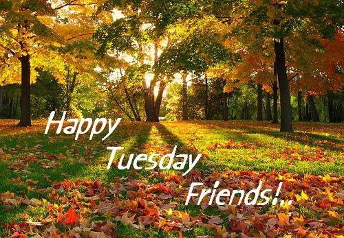 Happy Tuesday Friends Pictures, Photos, and Images for Facebook, Tumblr ...