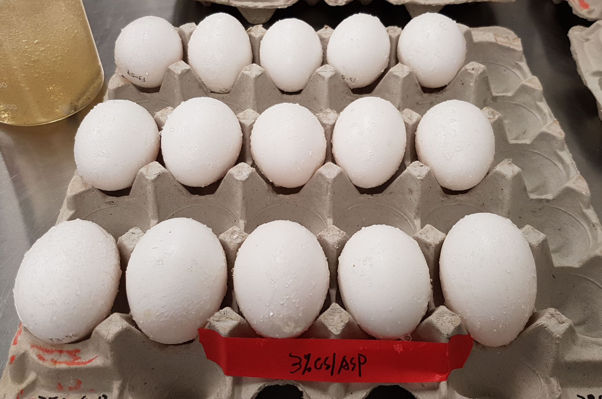 Eggs in carton, coated with chitosan solution 