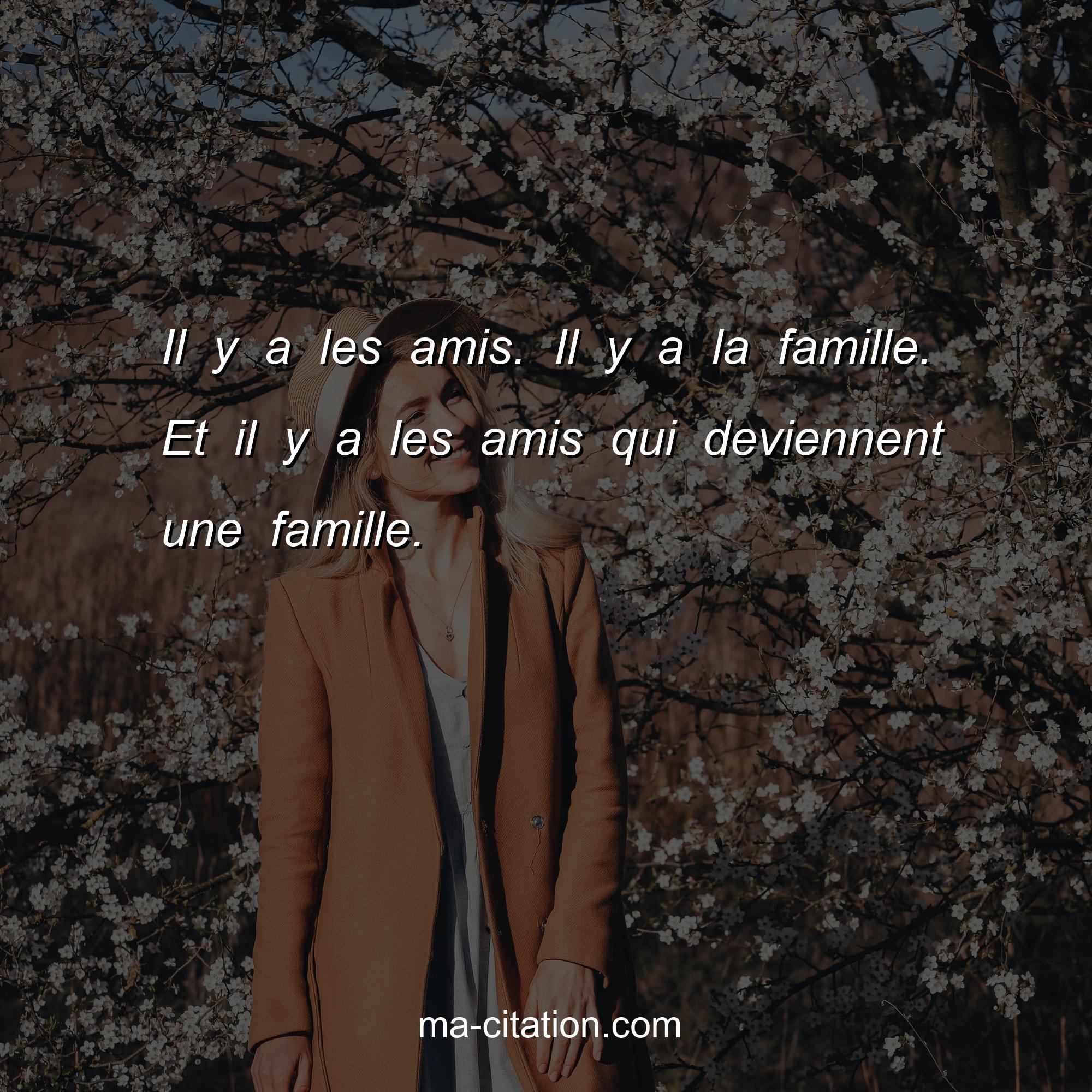 Il y a les amis. Il y a la famille. Et il y a les amis qui deviennent ...