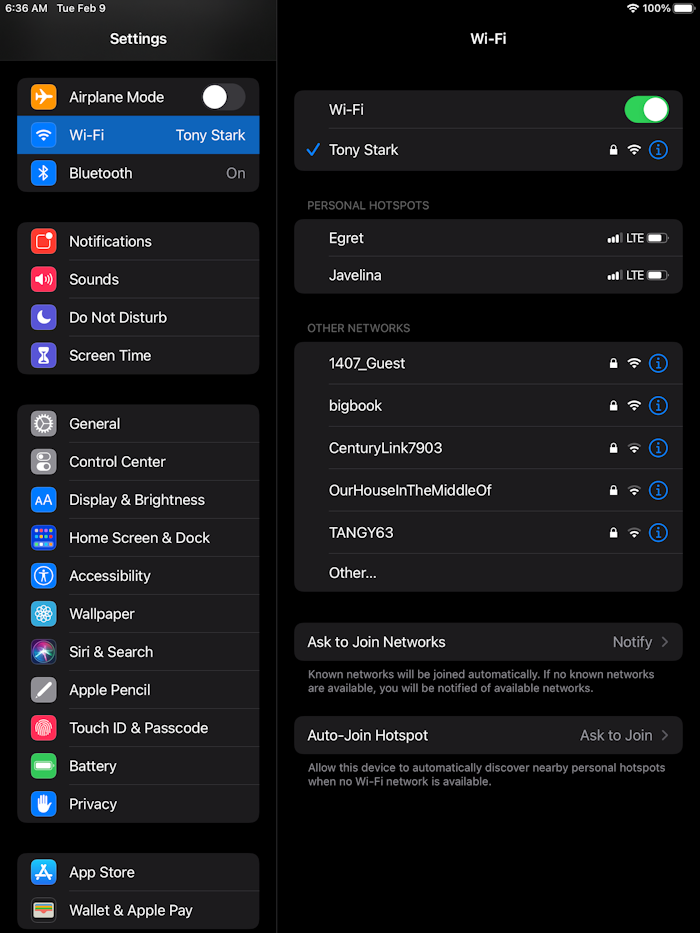 iPad wireless network settings