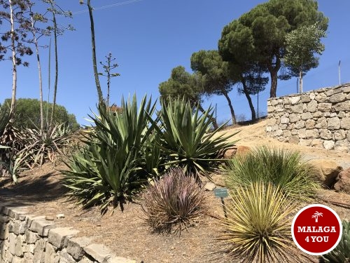 jardín botánico planten