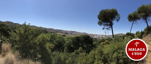 jardín botánico viewpoint