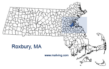 Roxbury, MA Map