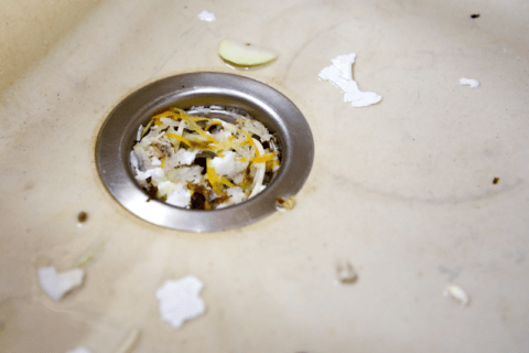 Food scraps in sink.