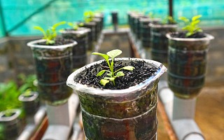 watering system for urban farmer garden