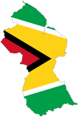 Guyana Flag Map