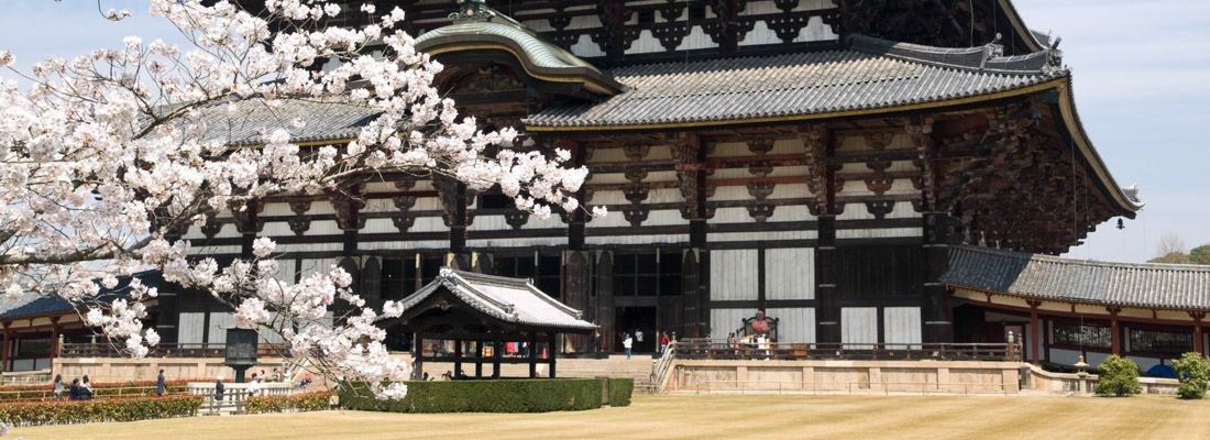 Il tempio Todai-ji di Nara, in primavera.