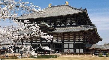 Il tempio Todaiji di Nara, in primavera.