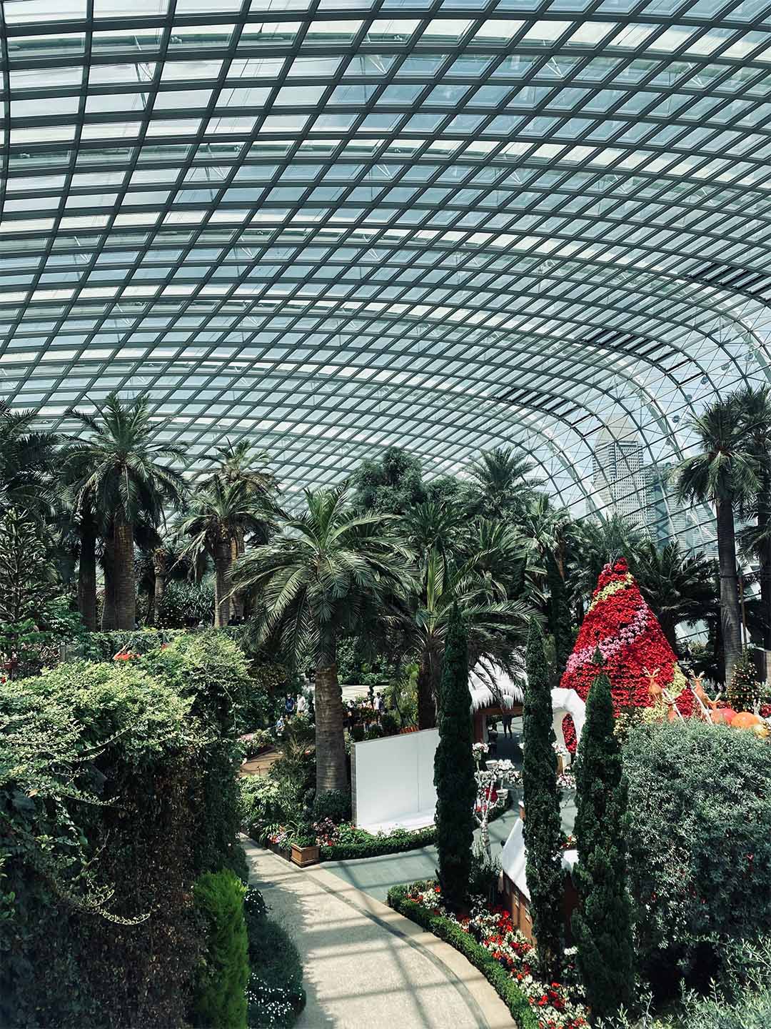 Lush green trees in the Flower Dome at Gardens by the Bay, near Marina Bay Sands