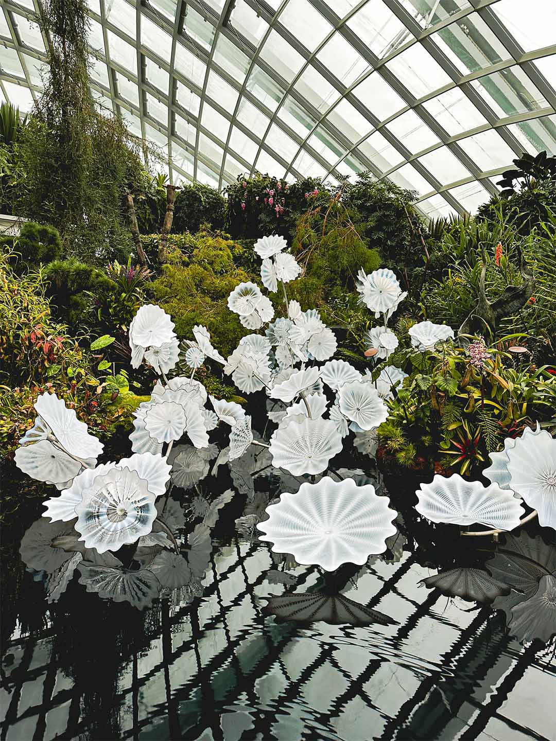 Whte flowers afloat a pond at Gradens by the Bay, located near Marina Bay Sands