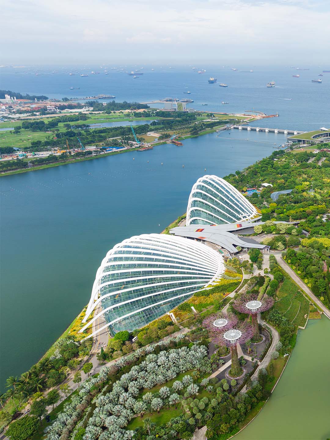 Top view of the domes at Gardens by the Bay in Singapore, near Marina Bay Sands