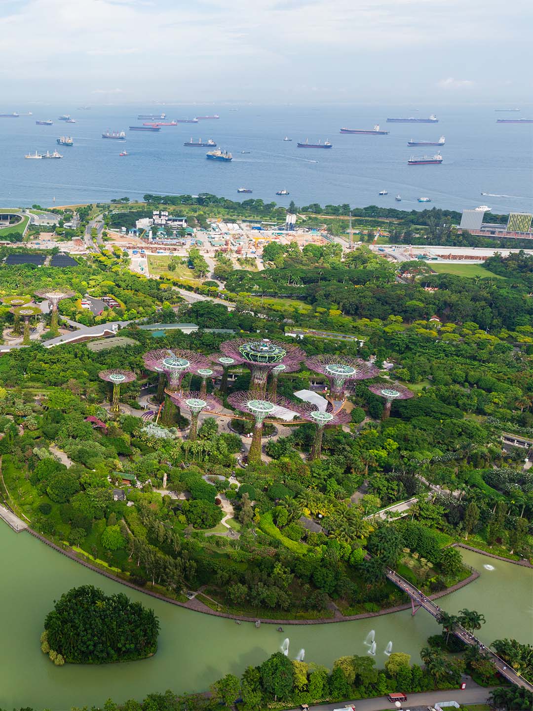 Top view of the Supertrees at Gardens by the Bay in Singapore, from the rooftop of Marina Bay Sands