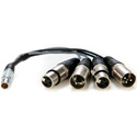 Atomos ATOMCAB016 LEMO to XLR Breakout Cable