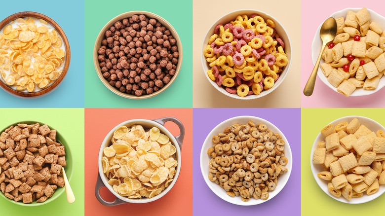 Eight bowls of different cereals