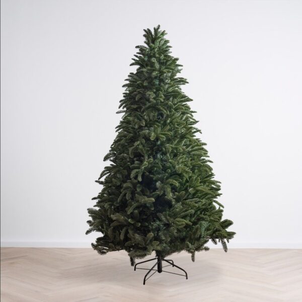 aramanta noble fir by masons home decor christmas tree singapore 1