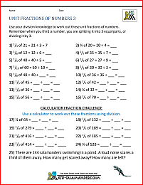 Unit Fraction of Numbers