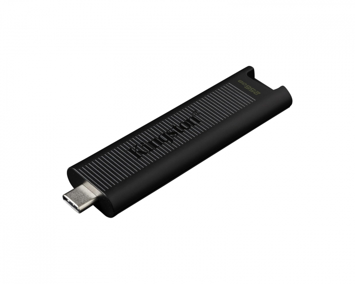 Kingston DataTraveler Max USB-C Minnepenn - 256GB