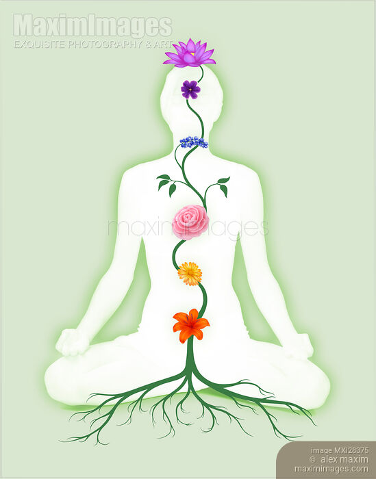 Meditating Woman with Chakra Flowers Growing from Root. Yoga, Reiki, holistic wellness. Stock Image MXI28375 © Alex Maxim / MaximImages