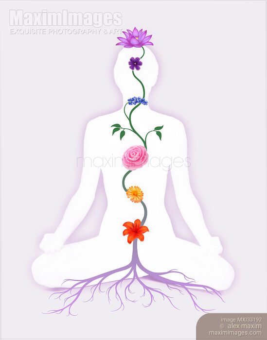 Meditating Woman with Chakra Flowers over her body growing from root in purple colors Stock Image MXI33192 © Alex Maxim / MaximImages