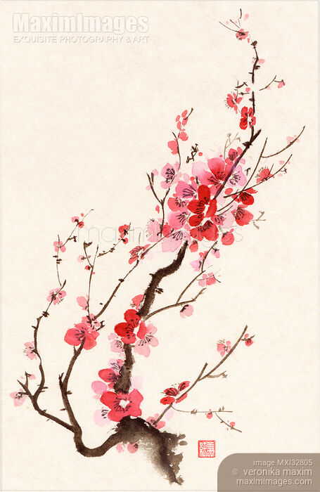 Sumi-e ink painting of blooming beautiful plum blossom or sakura branch with red flowers Stock Image MXI32805 © Veronika Maxim / MaximImages