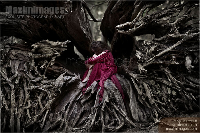 Woman in red dress curled up in roots of a dead tree Stock Image MXI29598 © Alex Maxim / MaximImages