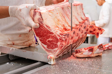 Gloved hands move a large cut of raw meat through an electric saw on a table