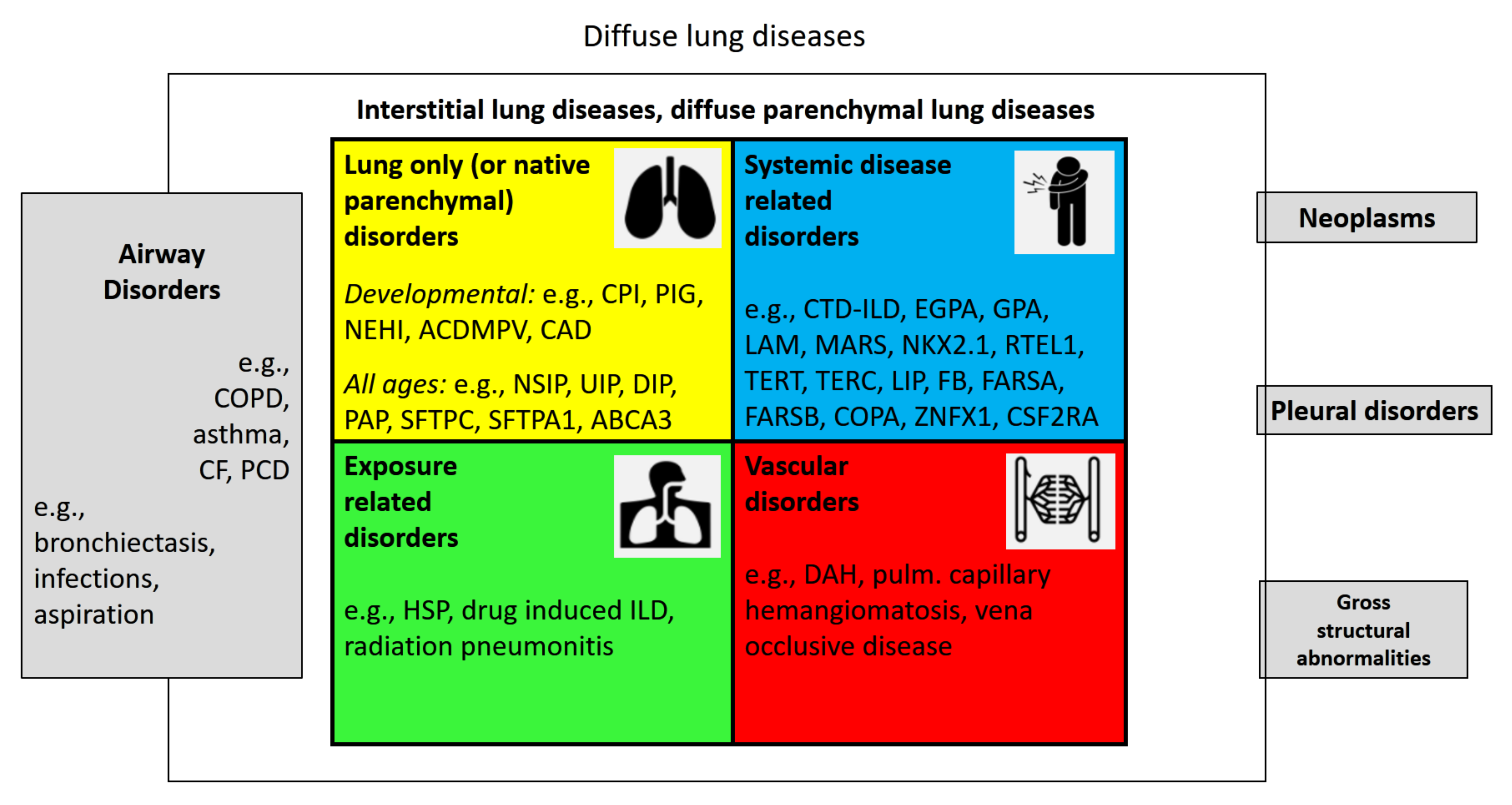 Interstitial Lung Disease Classification