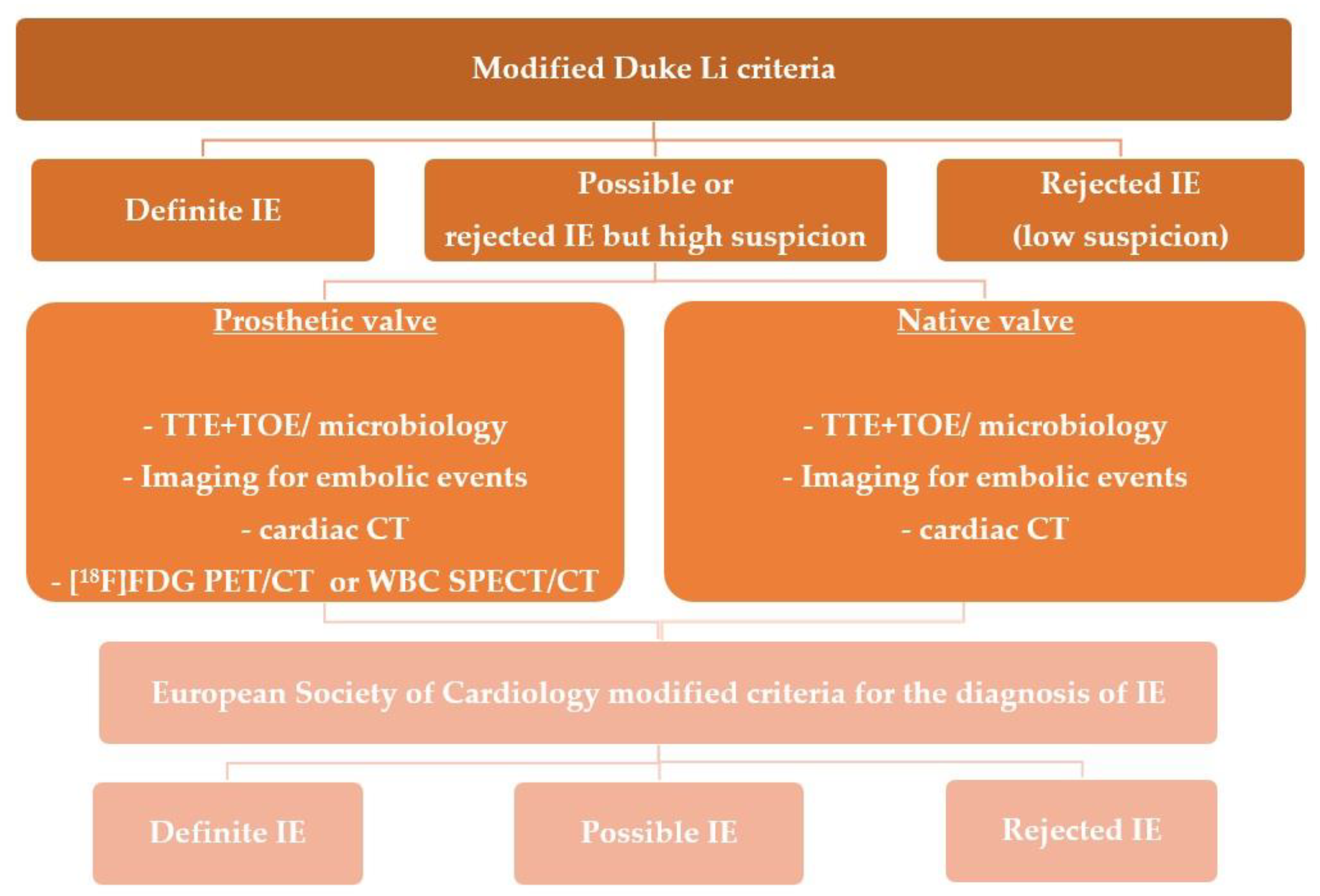 Infective Endocarditis