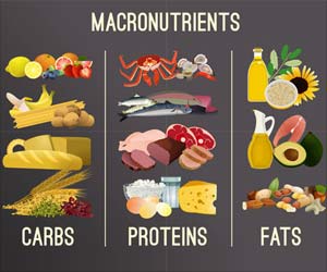 Macronutrients Calculator