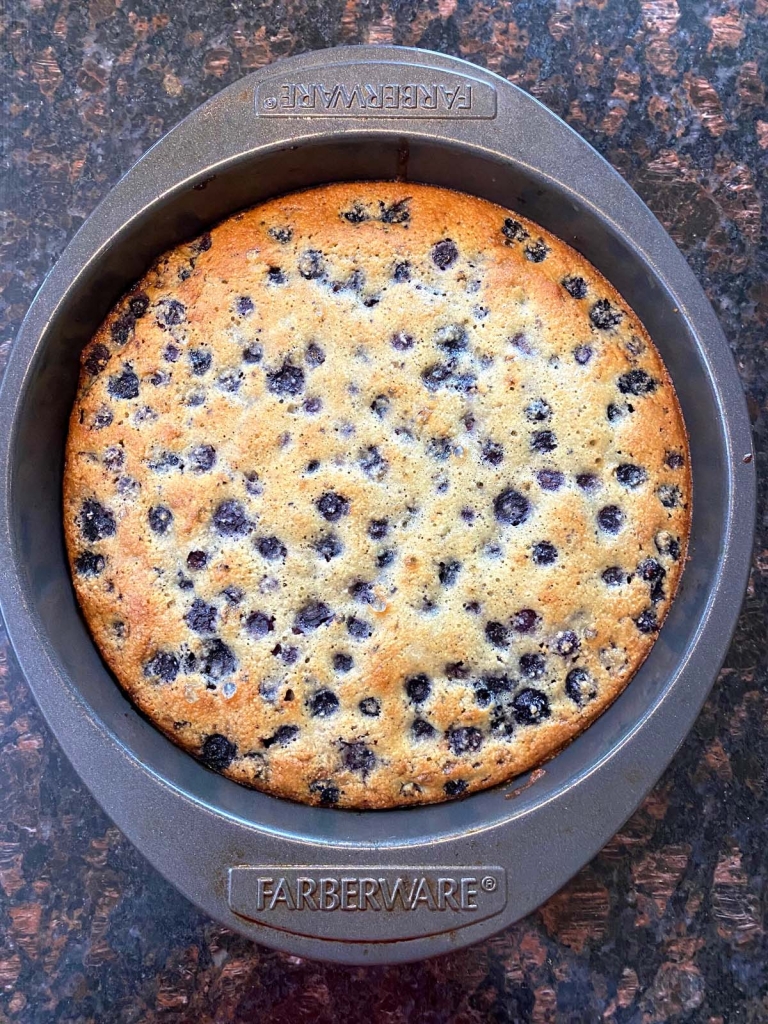 Baked gluten free blueberry cake in the pan.