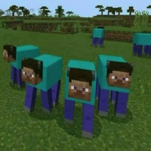 Create meme: the oldest version of minecraft, Minecraft, minecraft PE