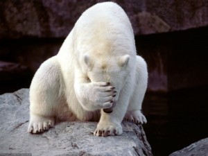 Create meme: bear, facepalm, these funny animals