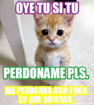 oye-tu-si-tu-me-perdonas-ago-todo-lo-que-quieras.-perdoname-pls