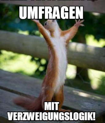 umfragen-mit-verzweigungslogik