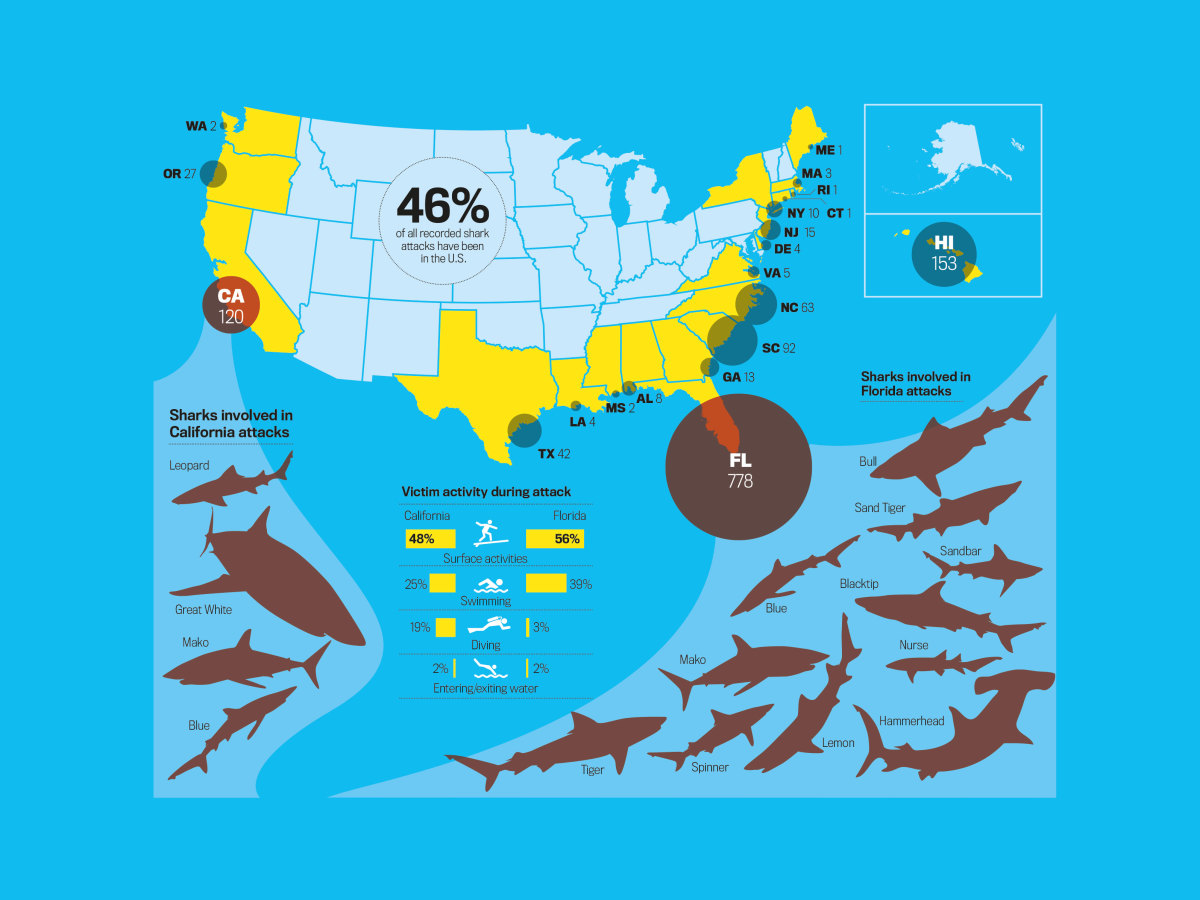 Here's Where Most Shark Attacks Happen in the U.S.