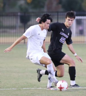 two soccer players go after the ball