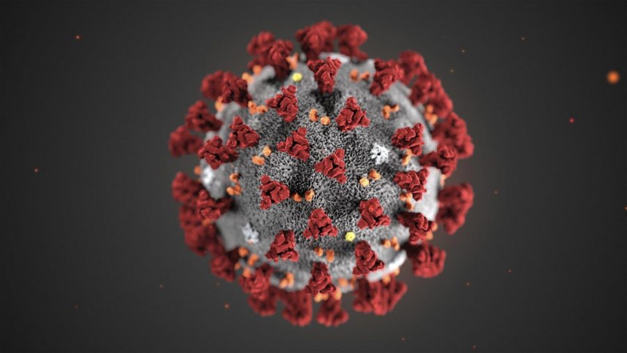 The novel coronavirus.