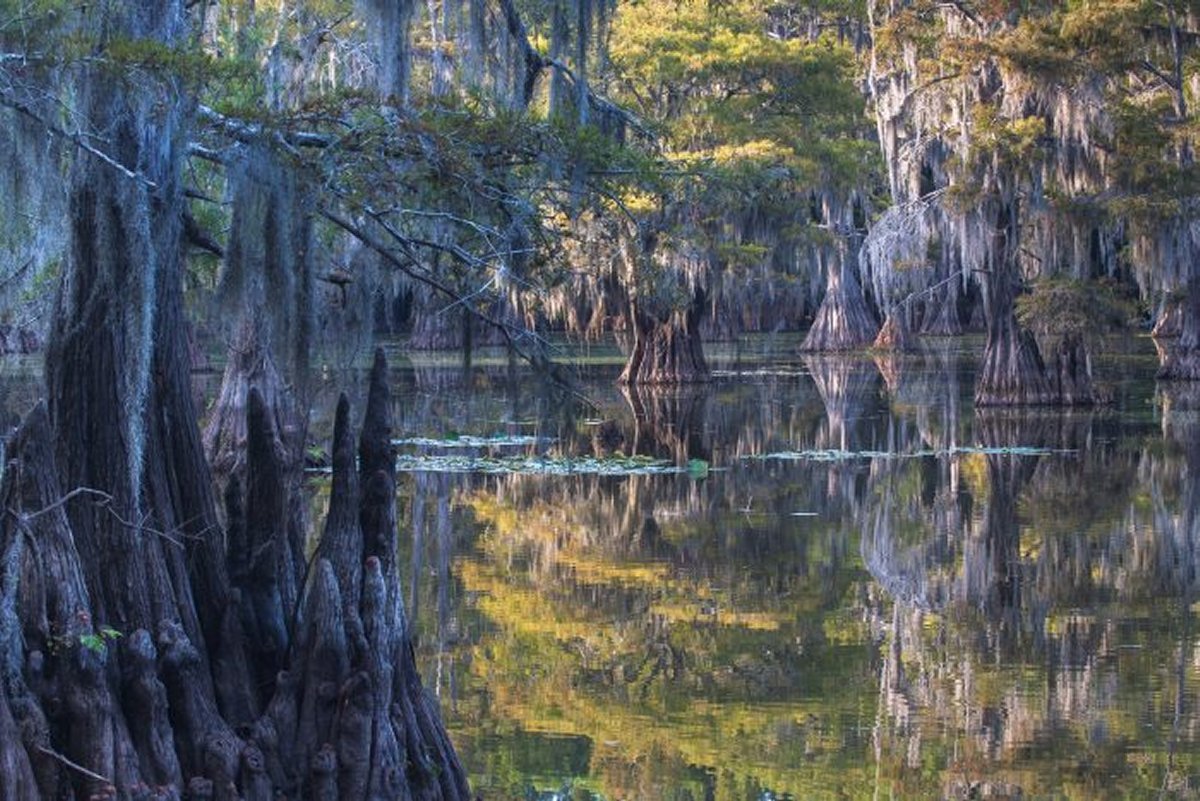 Caddo Lake: Where Ancient Cultures Met The Water