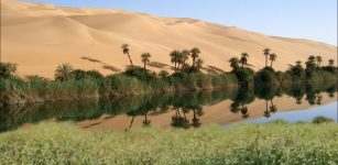 Sahara was once green