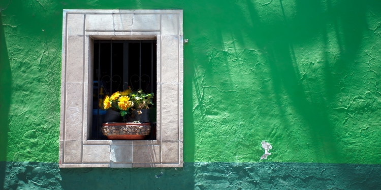 Flowerpot in the window reveal of a colonial house