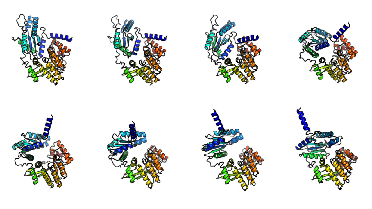 The image shows eight different 3D models of protein structures. Each model is color-coded with various segments in blue, green, orange, and other colors to highlight different parts of the protein.