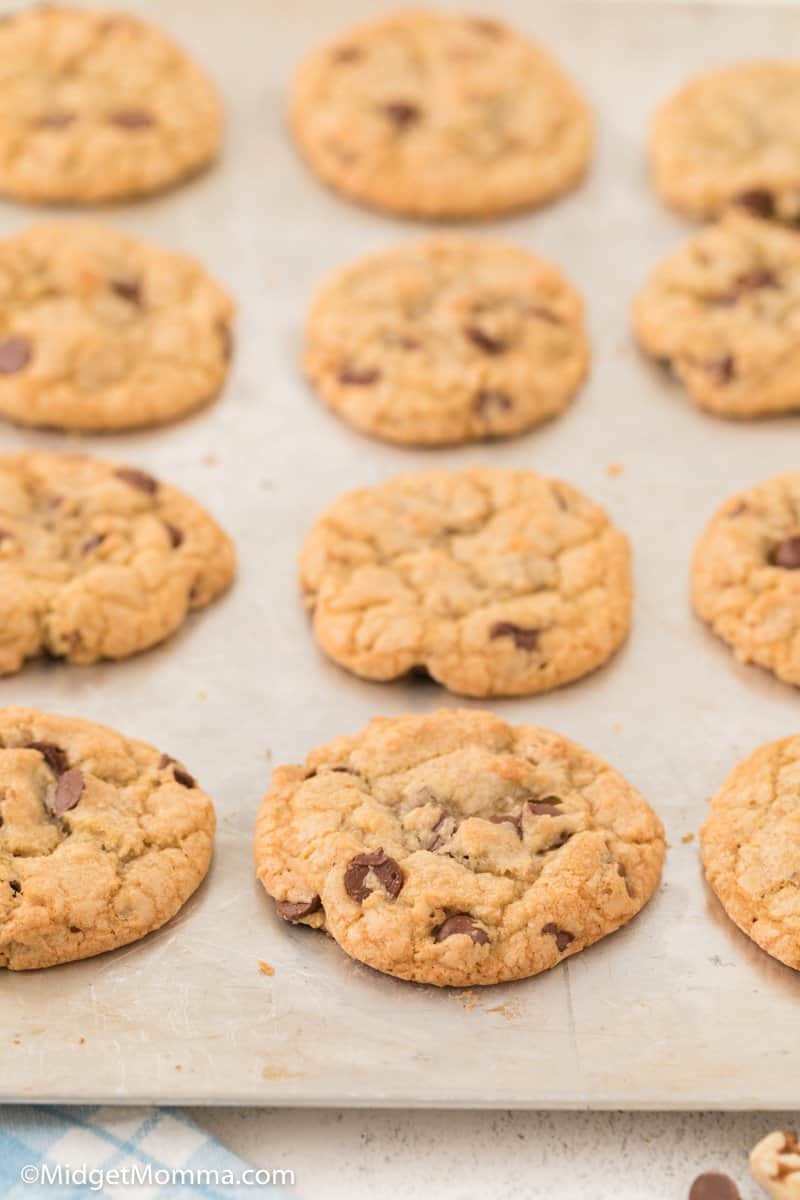 Walnut Chocolate Chip Cookies on a baking sheet