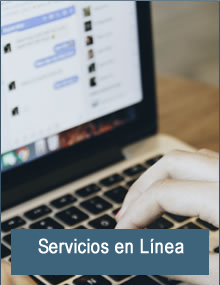 Servicios En Linea