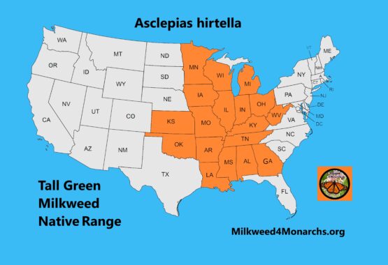 Native Range of Tall Green Milkweed