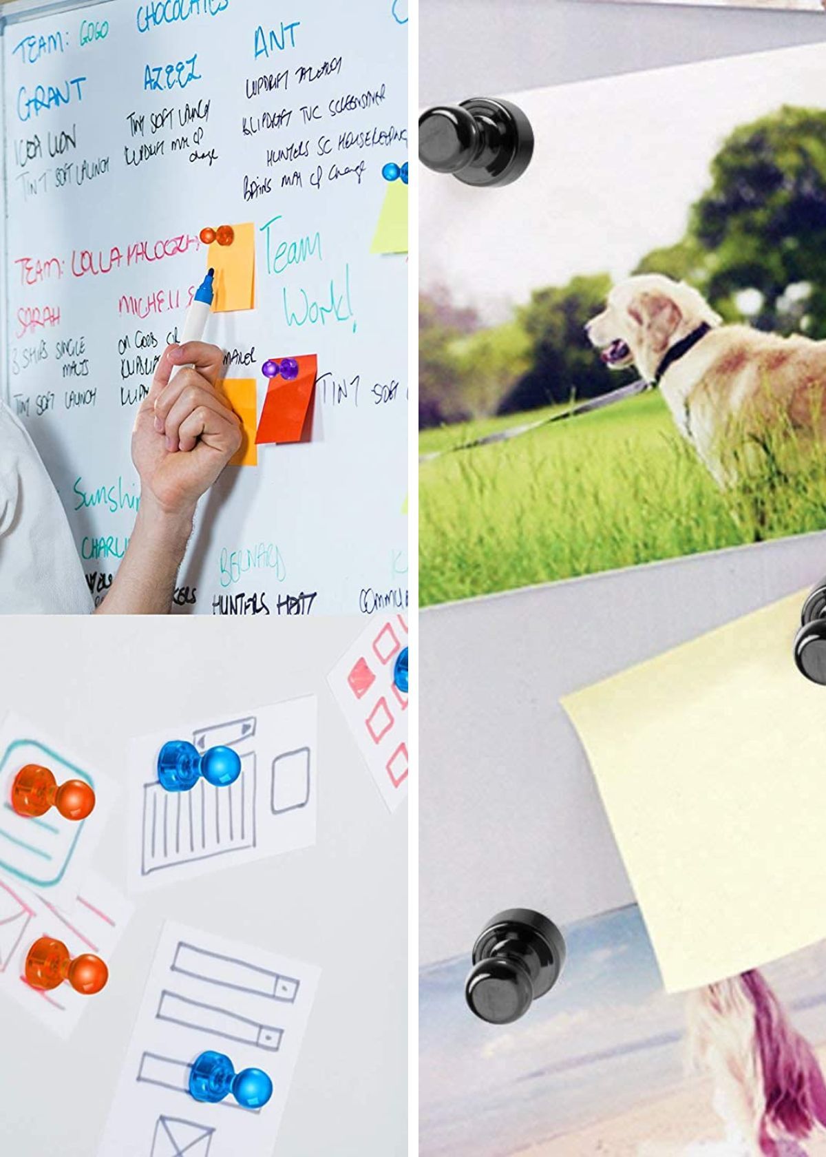 Discover The Most Creative Way To Organize With Dry Erase Board Magnets!